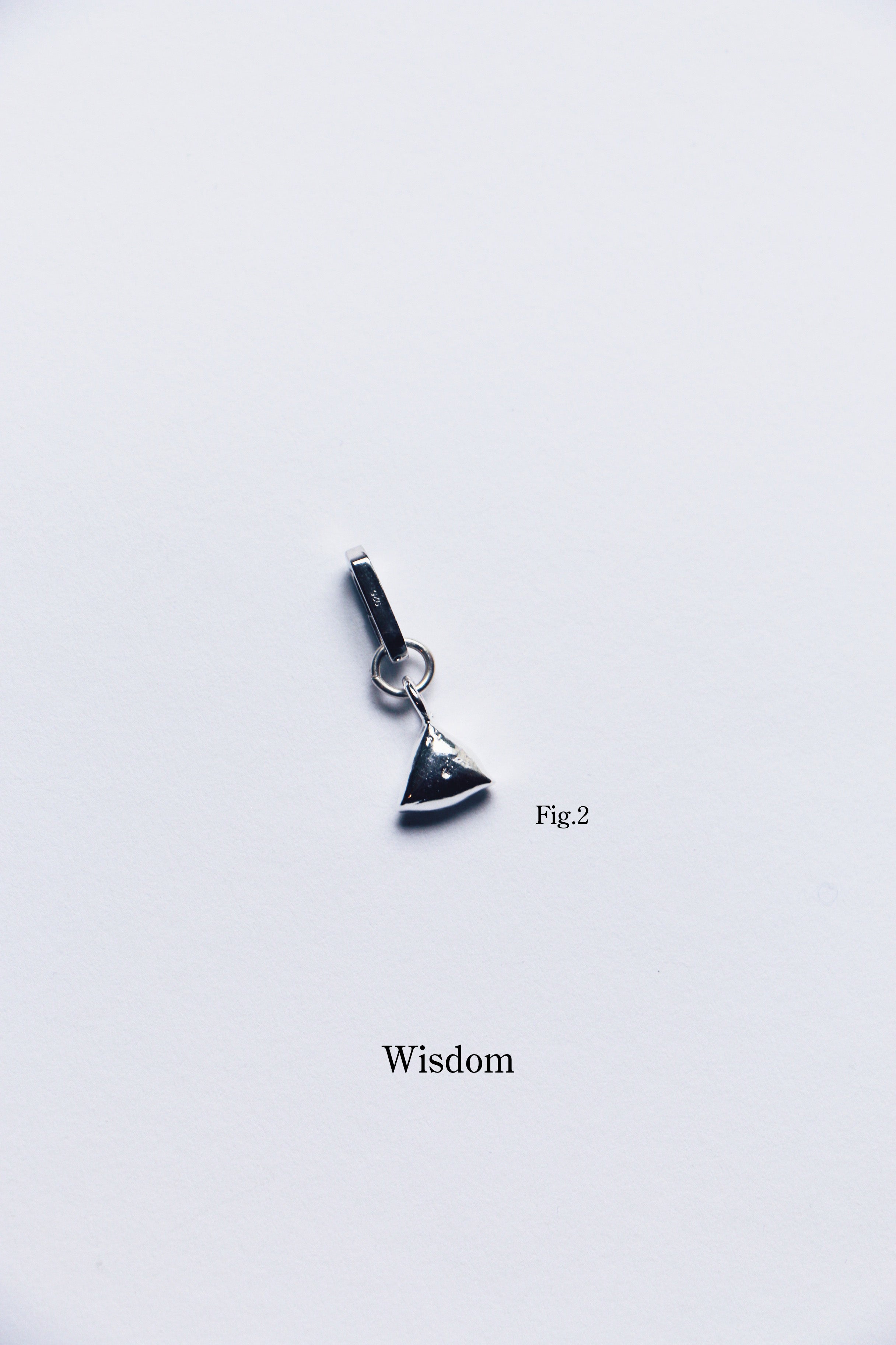 Charm Fig. 2: Wisdom